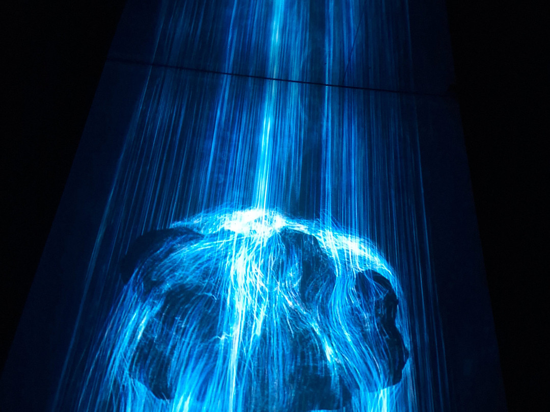 teamLab Planets TOKYO-Toyosu必去景点