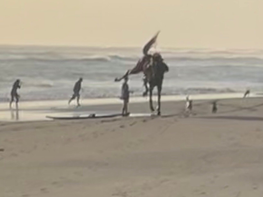 Salty Cowboy Bali