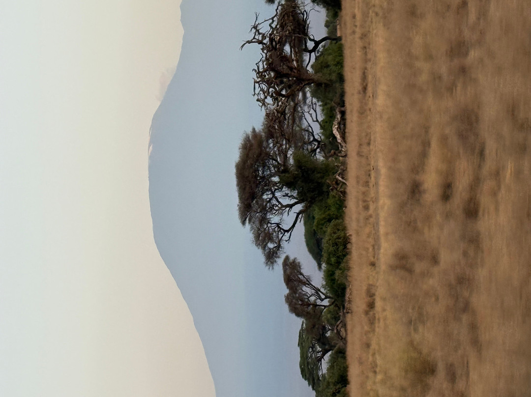 Gattokko - Safari e Tours in Kenya-瓦塔木必去景点