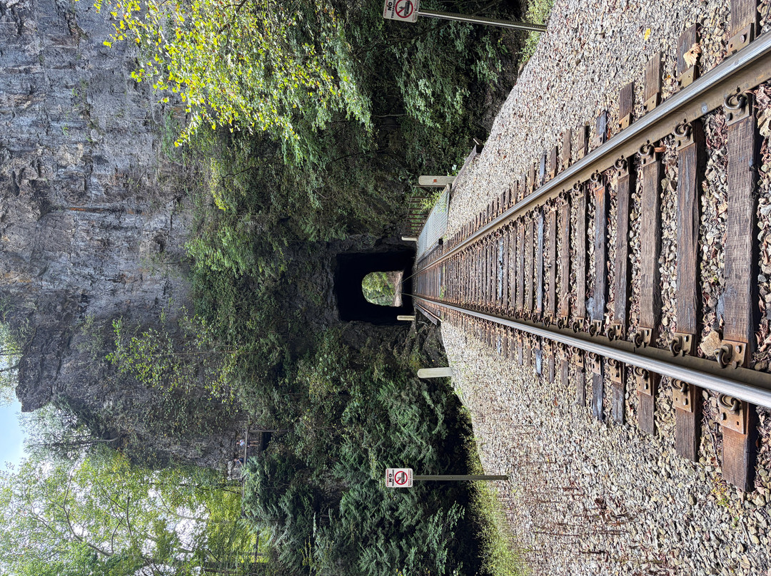 Natural Tunnel State Park-Duffield必去景点