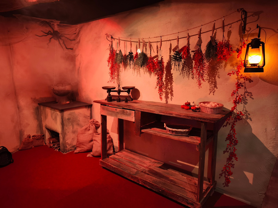 Expedition 60 Live Escape-room-Teningen必去景点