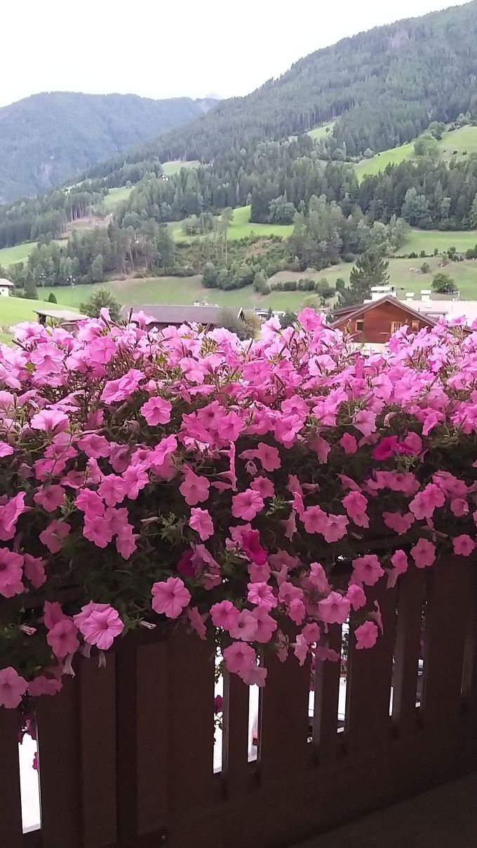 Alpine Life Hotel Anabel-旅行者