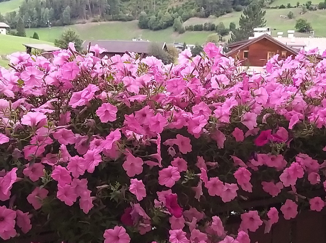 Alpine Life Hotel Anabel主图