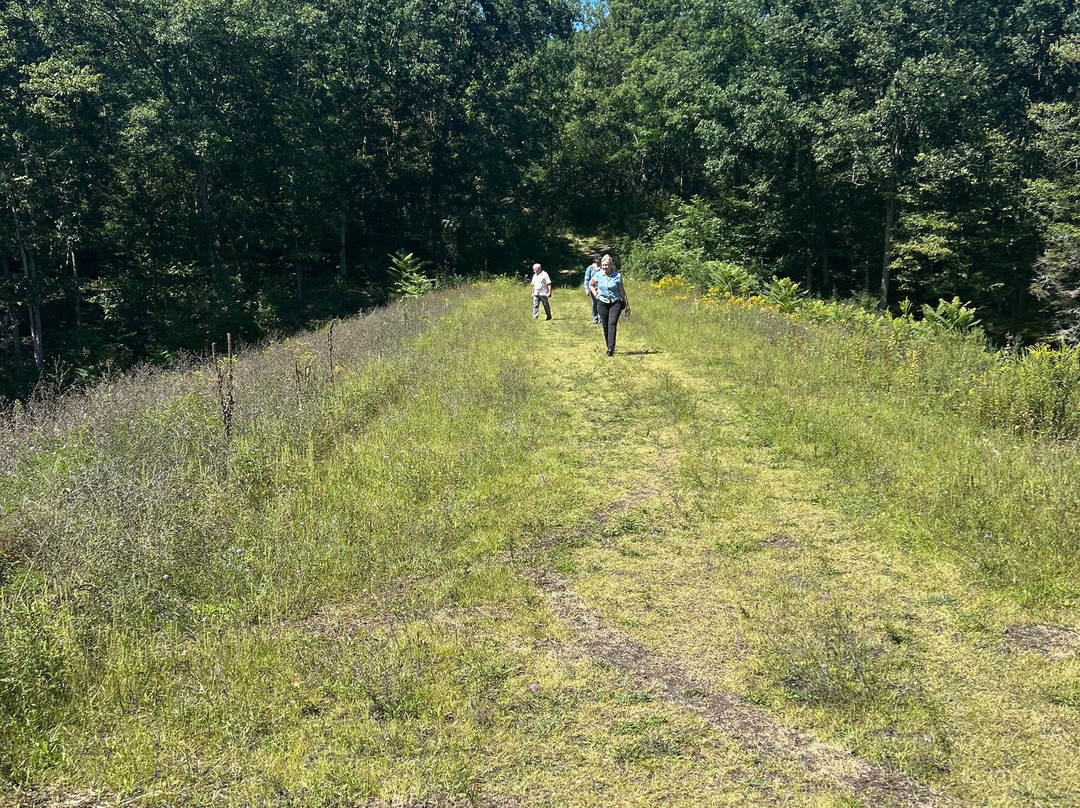 Tuscarora State Park-Barnesville必去景点