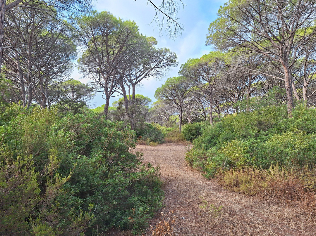 Carrozze di Maremma-Alberese必去景点