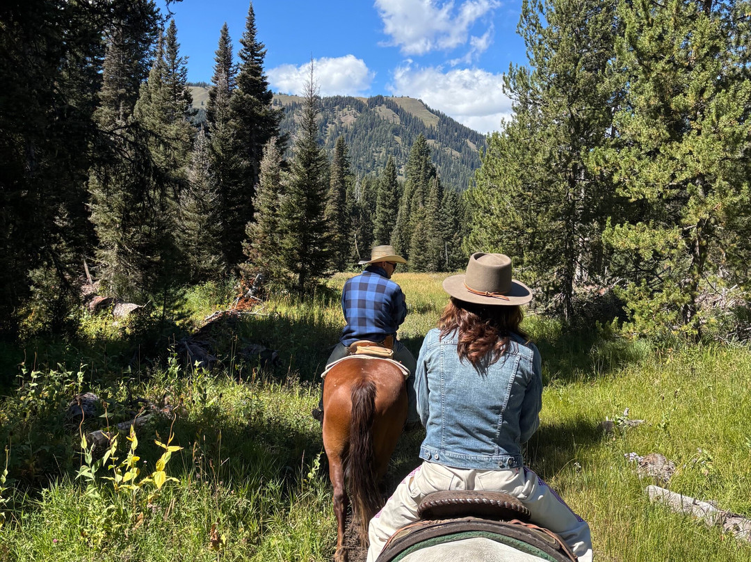 North Fork Trail Rides-杰克逊必去景点