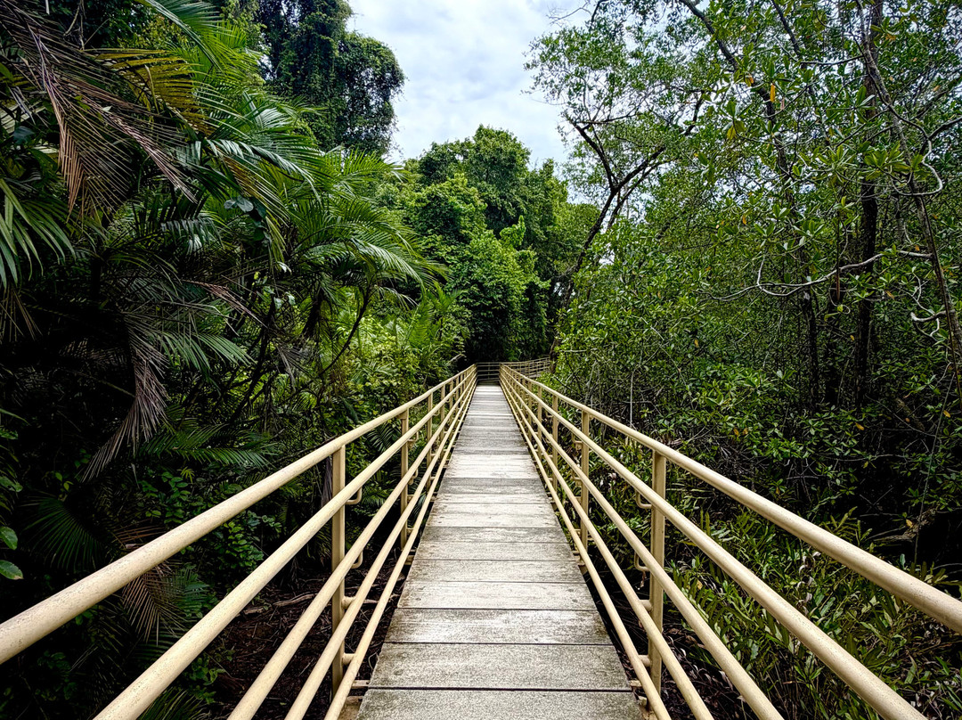 Manuel Antonio Expeditions-哥斯达黎加安东尼奥国家公园必去景点
