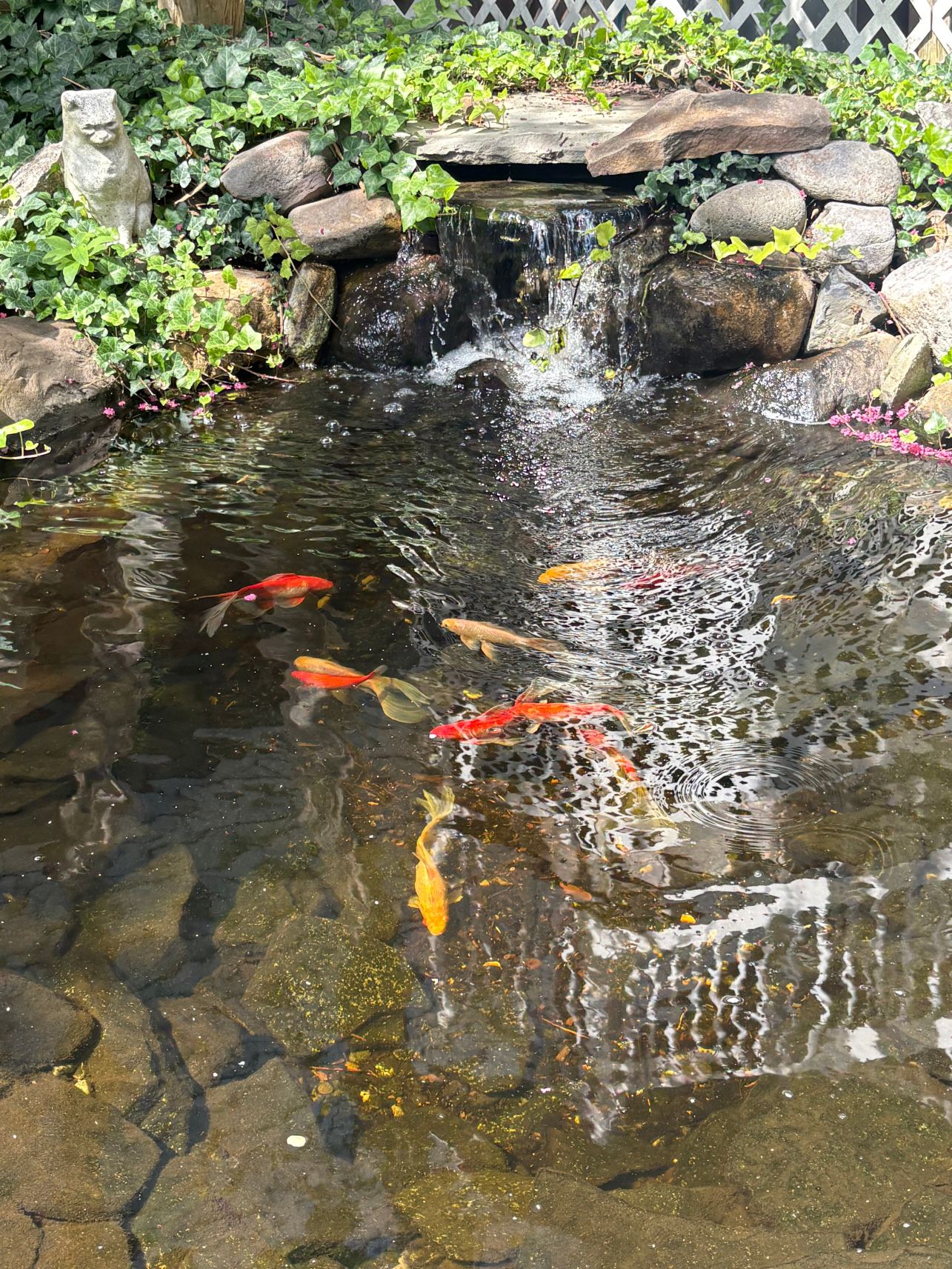 贝默尔酒店及水疗中心-旅行者