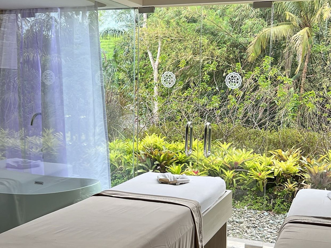 Seres Springs Resort & Spa, Singakerta主图