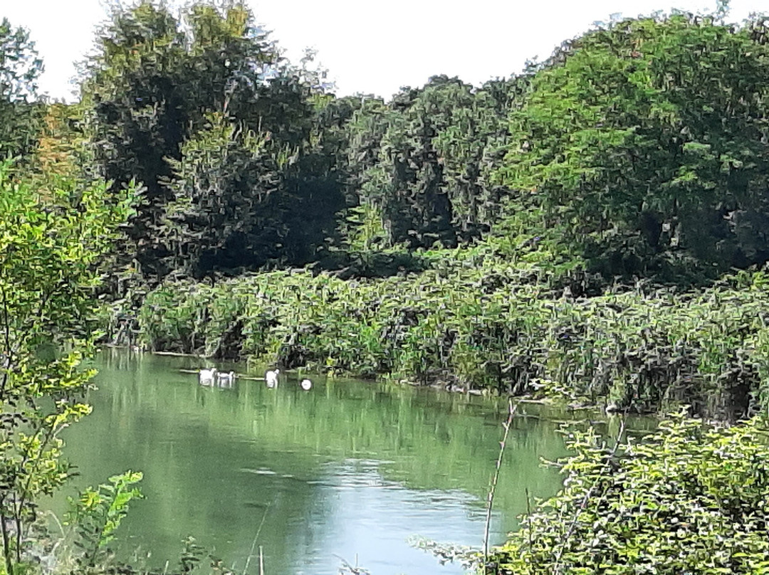 Pista Ciclabile del Fiume Mincio-佩斯基耶拉德尔加尔达必去景点