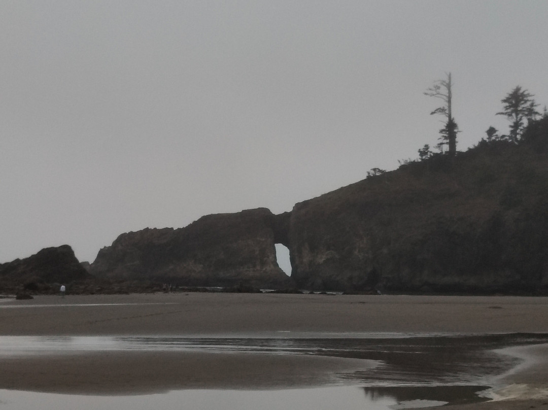 Second Beach Trail-奥林匹克国家公园必去景点