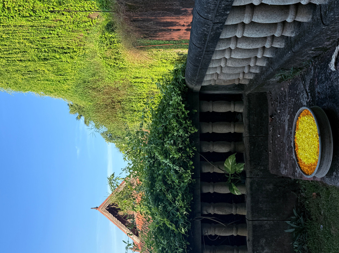 AyurSoma Ayurveda Royal Retreat主图