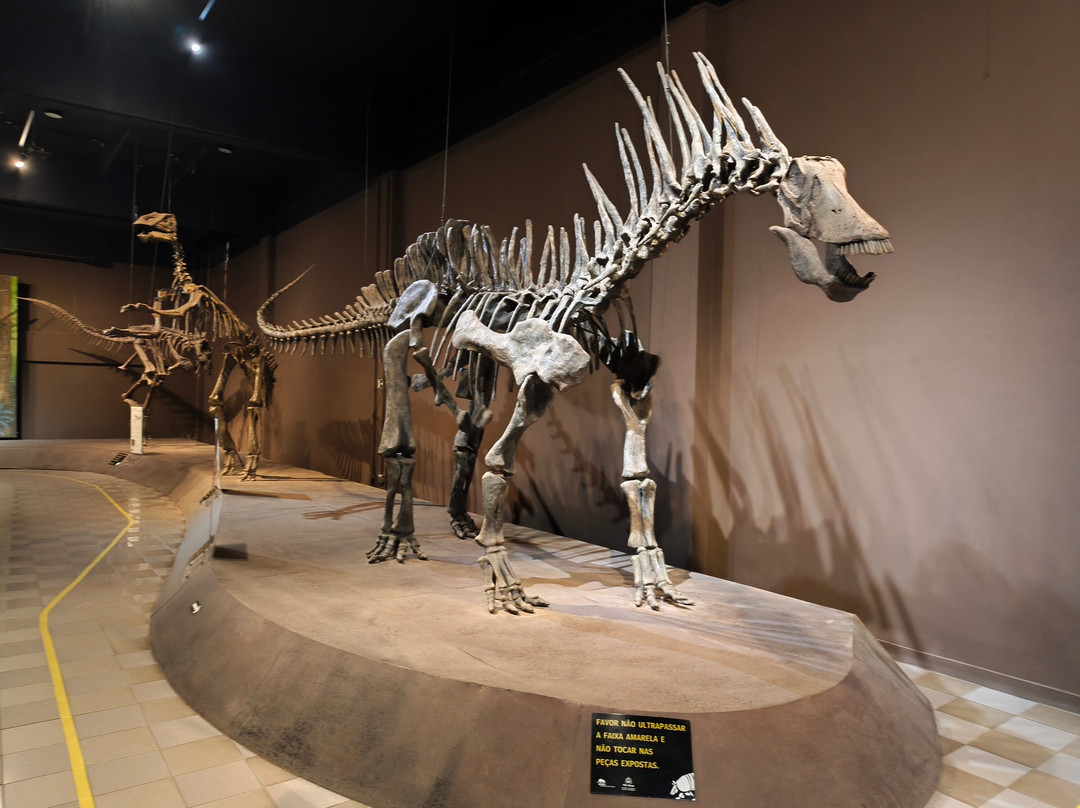 Museu de Ciências Naturais PUC Minas-贝洛哈里桑塔必去景点