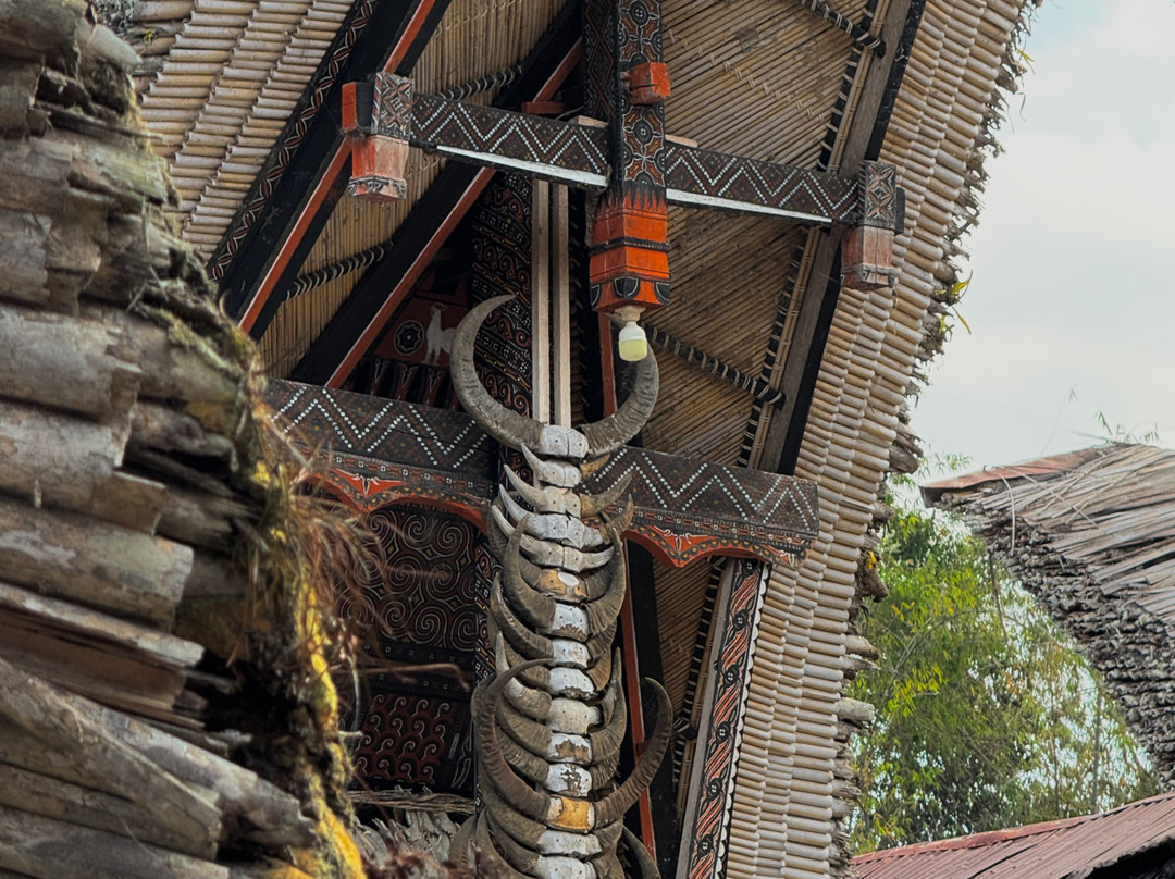 Toraja Tours with Diana-Makale必去景点
