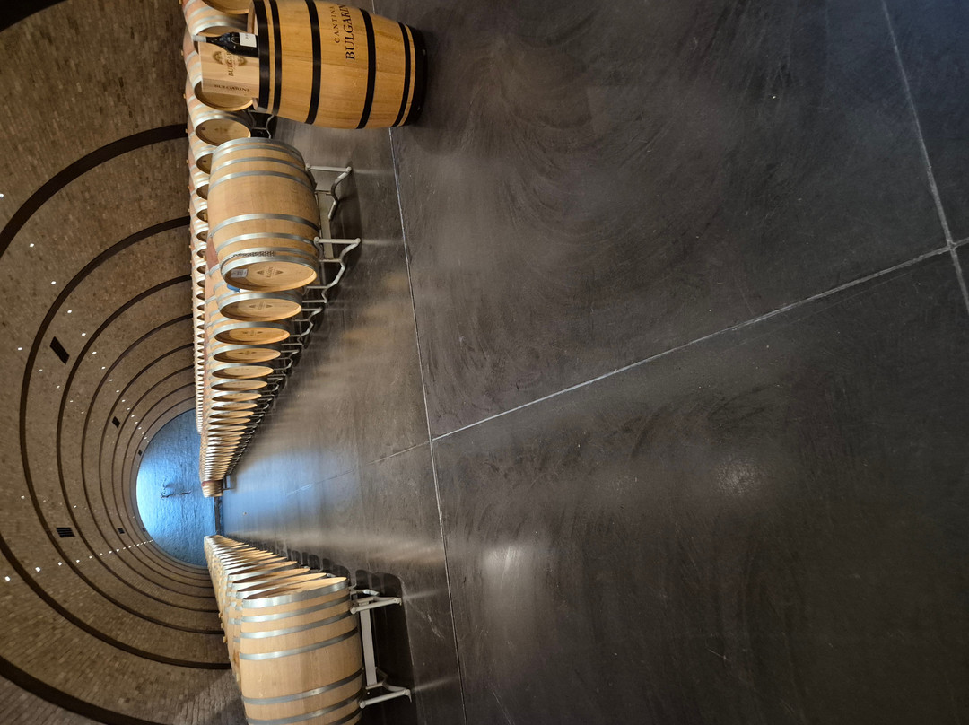 Azienda Agricola Bulgarini - Cantina Bulgarini-Pozzolengo必去景点