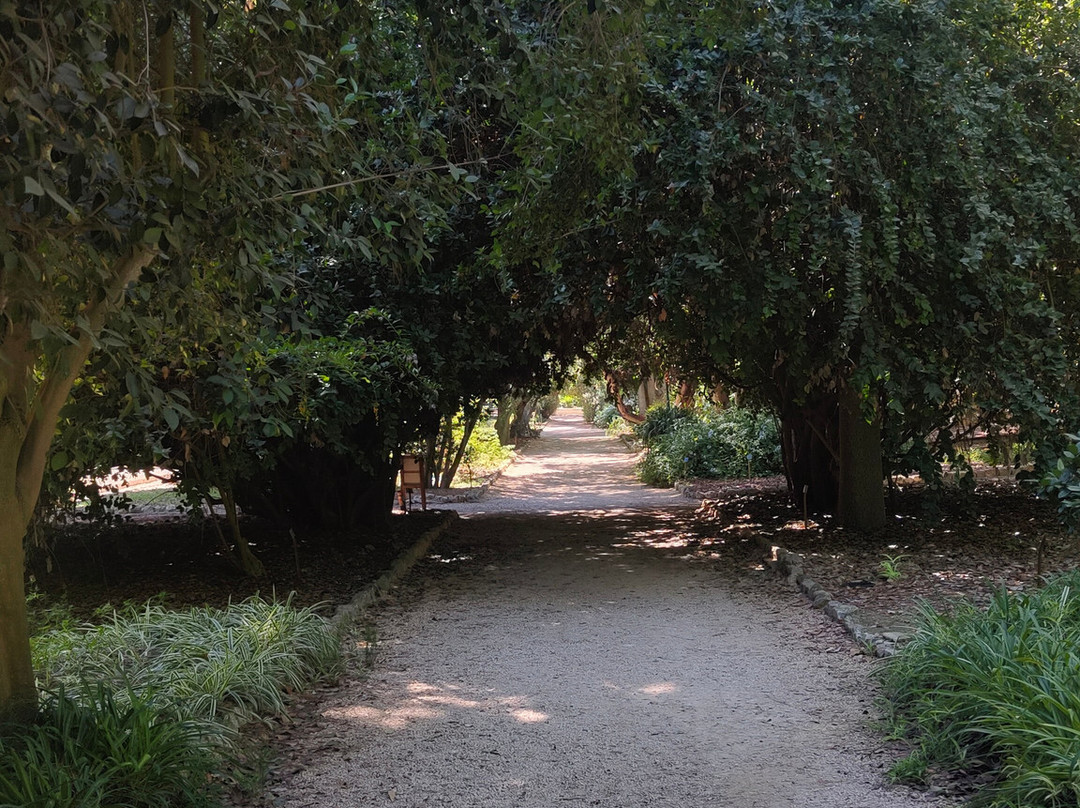 Orto Botanico-卡利亚里省必去景点