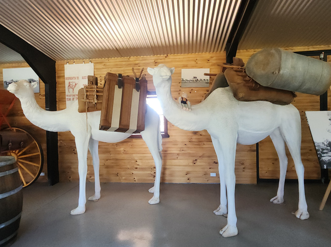 Uluru Camel Tours-尤拉拉必去景点