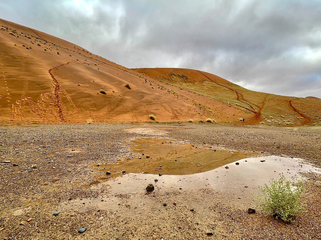 Sossusvlei-Namib-Naukluft Park必去景点