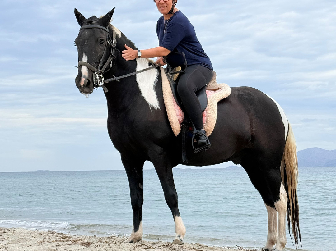 Erika's Horse Farm Kos-Marmari必去景点