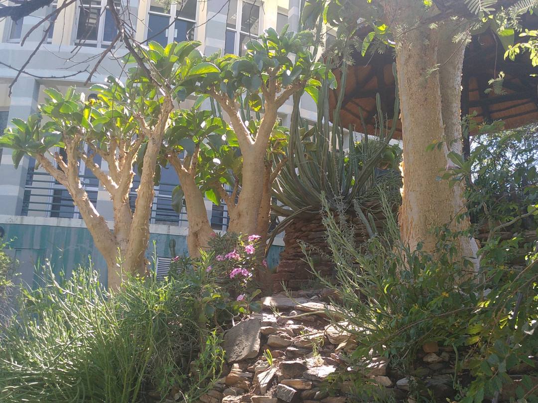 National Botanic Garden of Namibia-温德和克必去景点