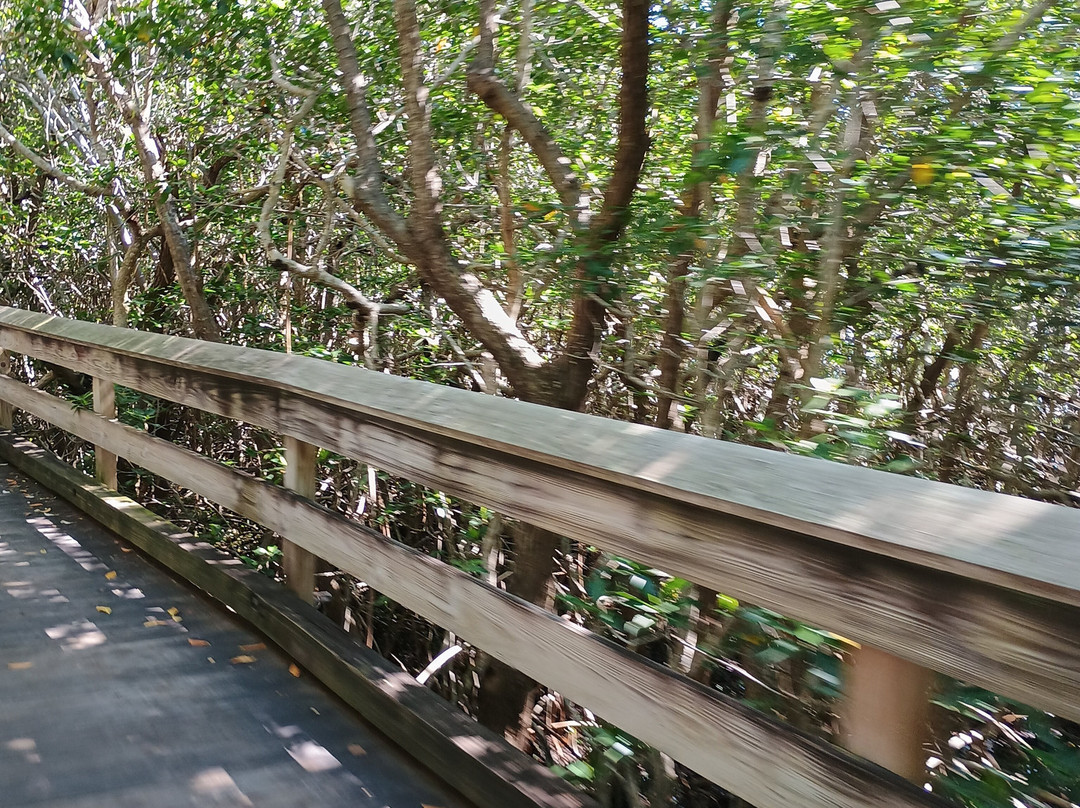 Clam Pass Park-那不勒斯必去景点