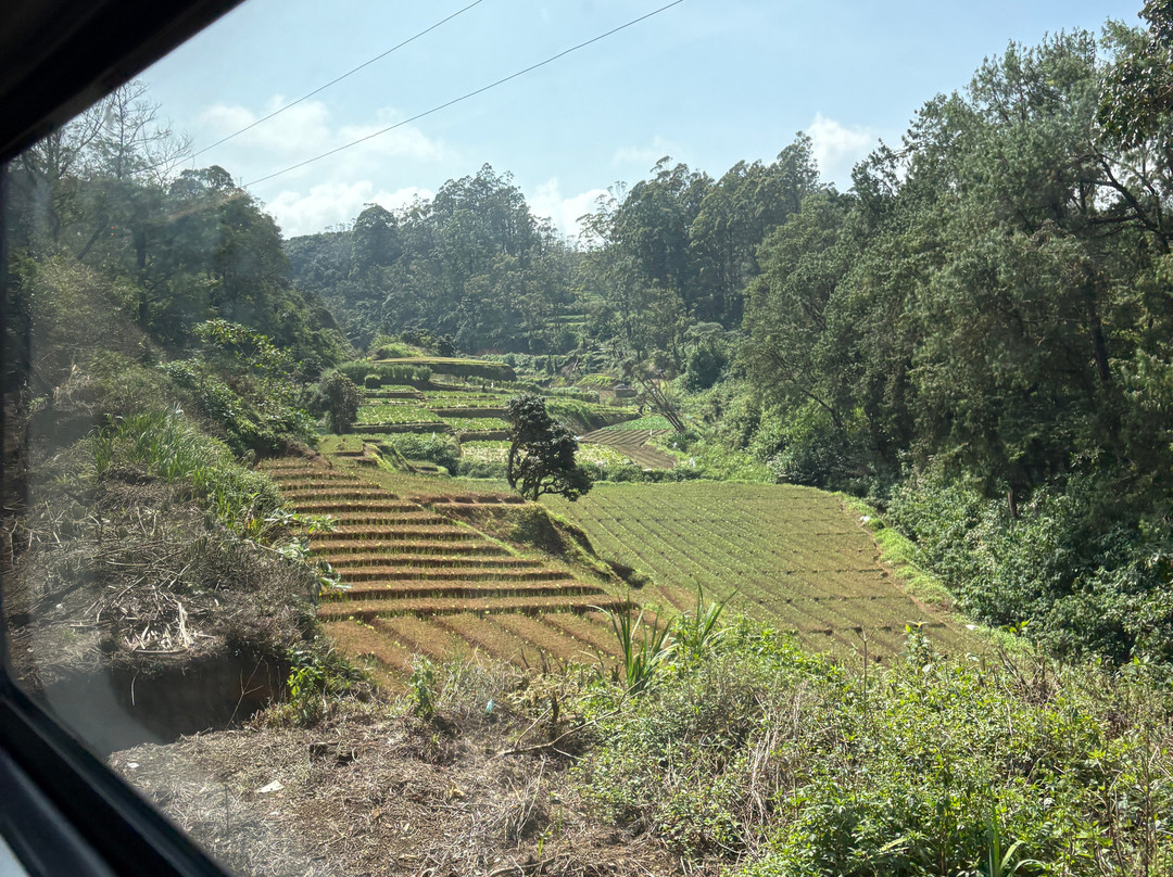 See Sri Lanka Tours-康提必去景点