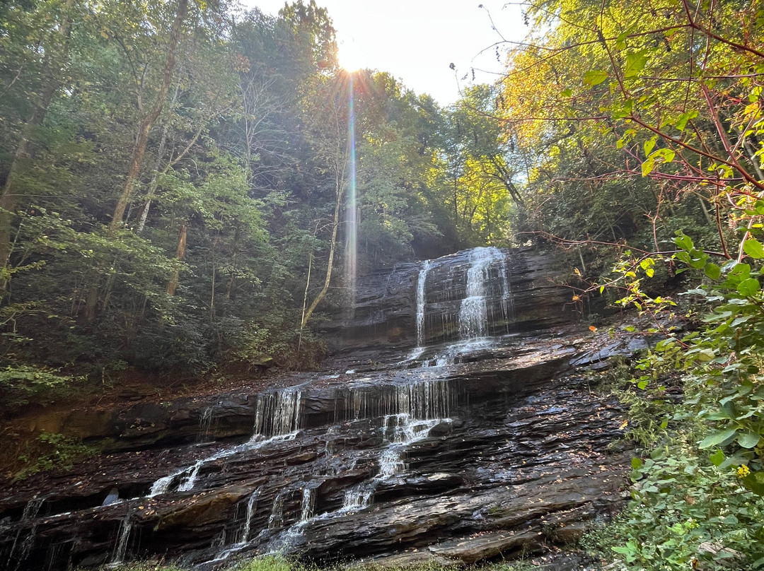 Pearson's Falls Glen-Saluda必去景点