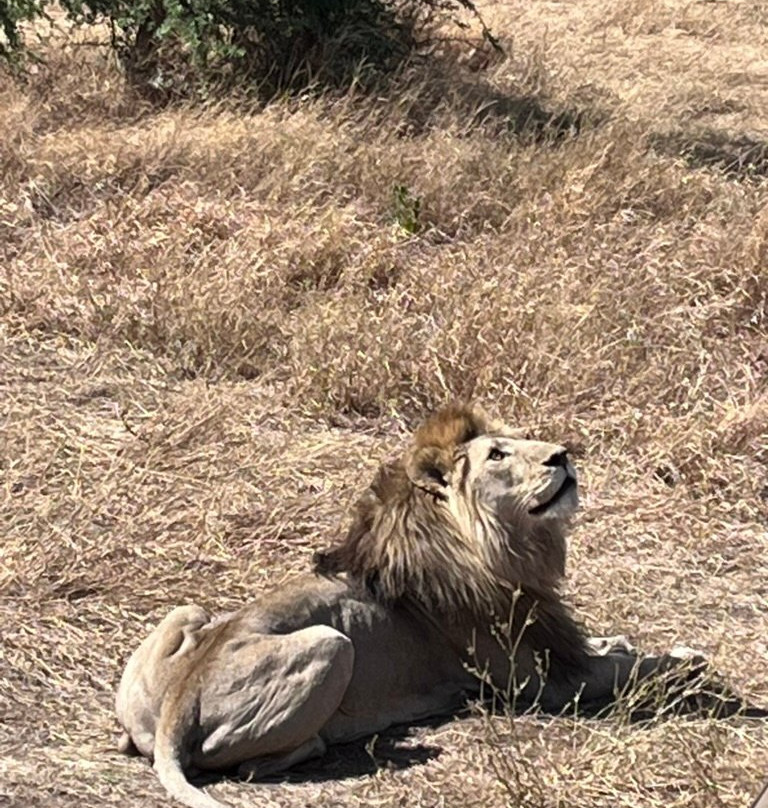 Unlimited Expeditions - The Soul Of Tanzania-阿鲁沙必去景点