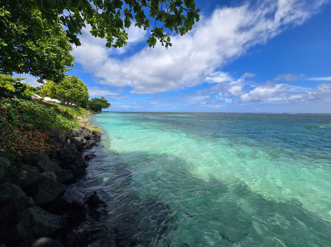 Tanu Beach Fales - Via Samoa Scenic主图