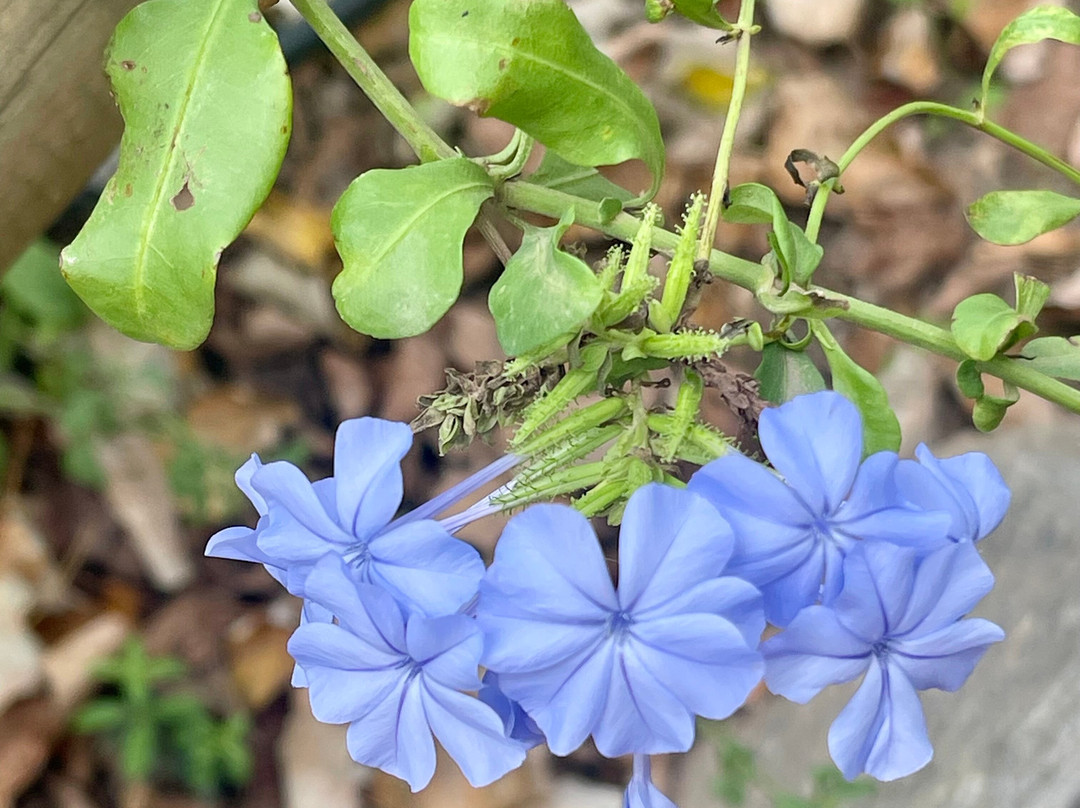 Botanical Garden Of Crete-Fournes必去景点