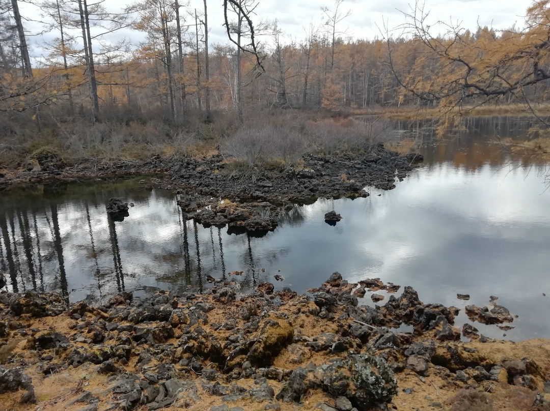 阿尔山市旅游景点-石塘林