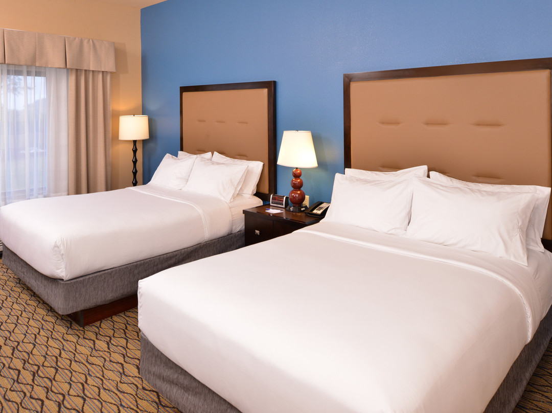 Holiday Inn Express & Suites Wichita Falls By IHG主图