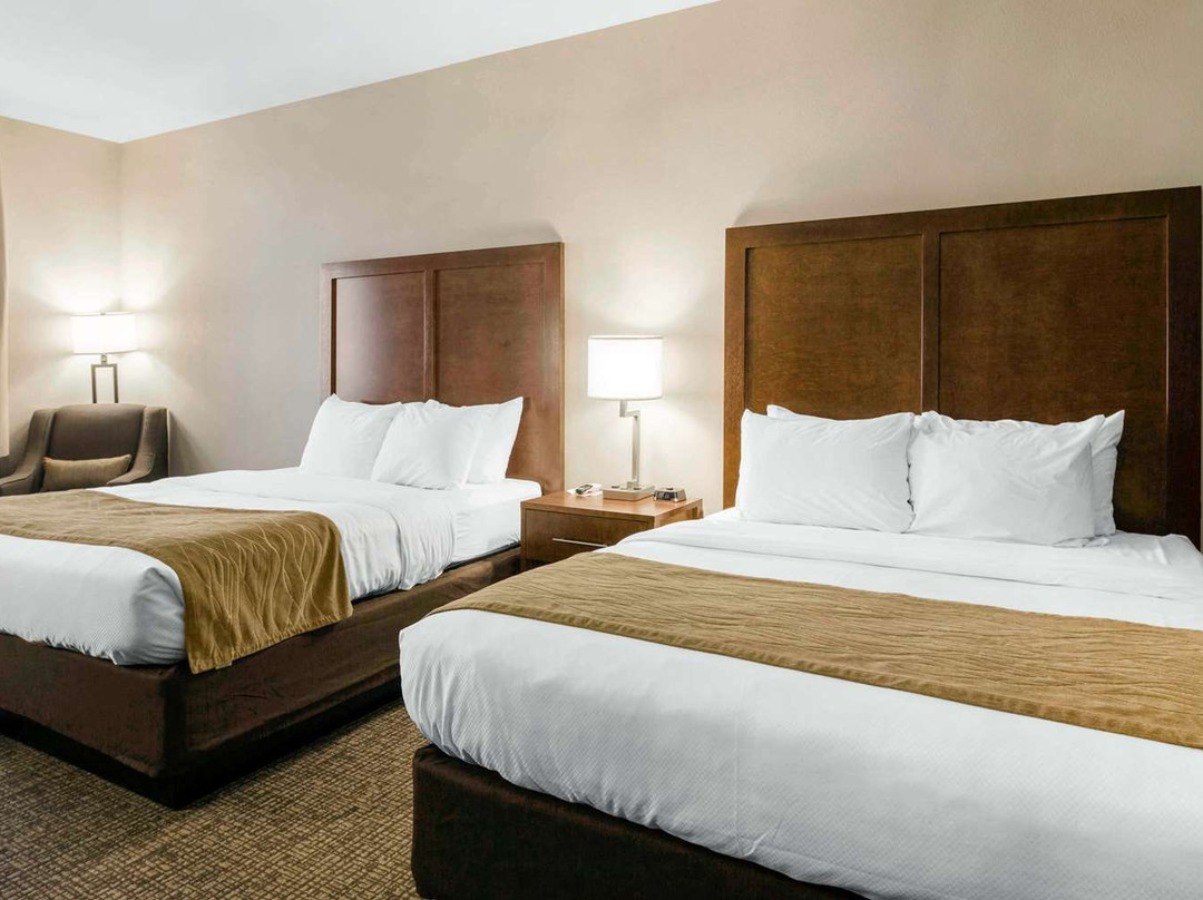 Comfort Inn & Suites主图