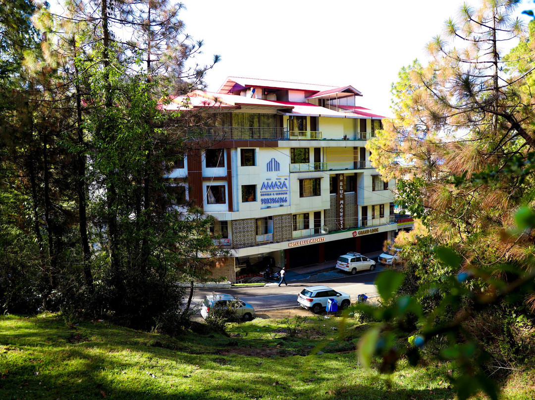 Hotel Blue Magnets Dalhousie