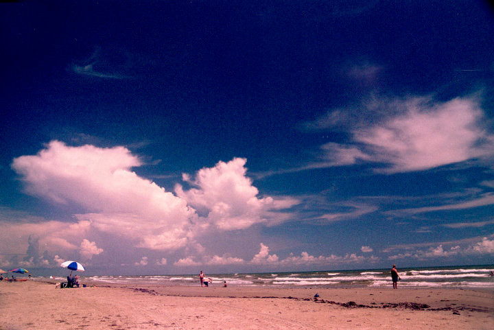 Galveston Island State Park景点图片