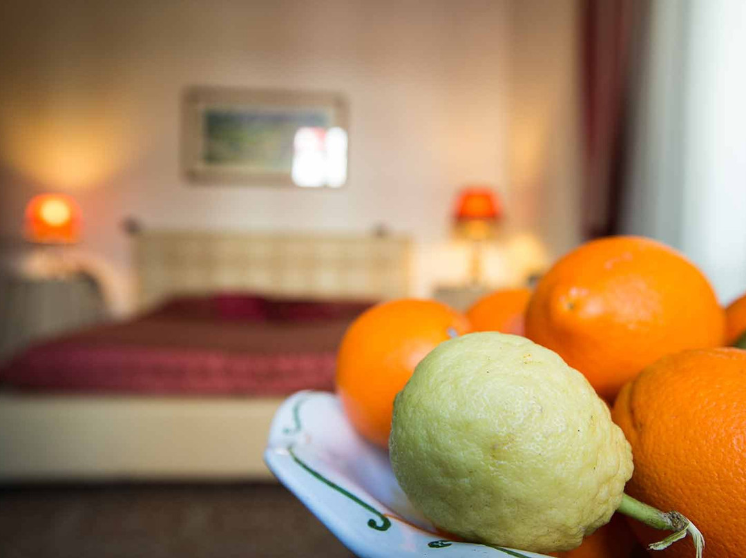 Etnea Suite 668