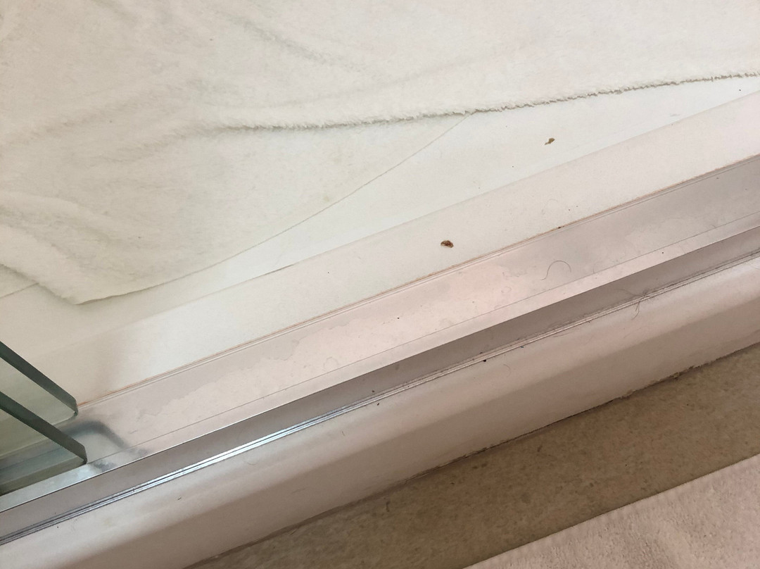 Holiday Inn Express & Suites Ottumwa By IHG主图