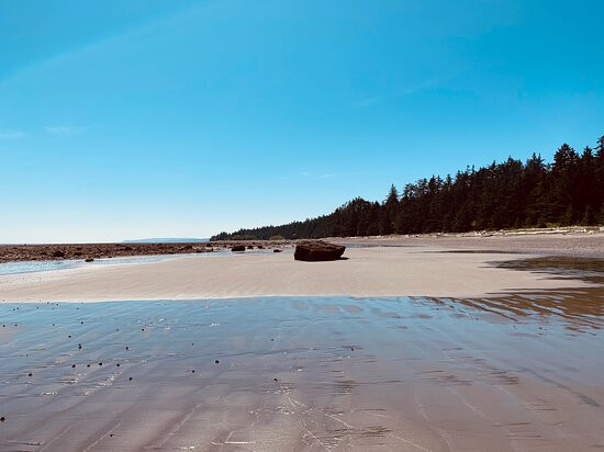 Jungle Beach-Skidegate必去景点