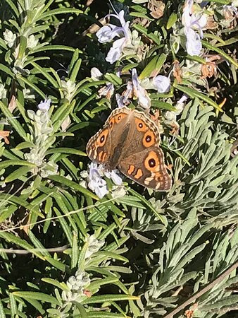 Railway Station-Bridgewater on Loddon必去景点