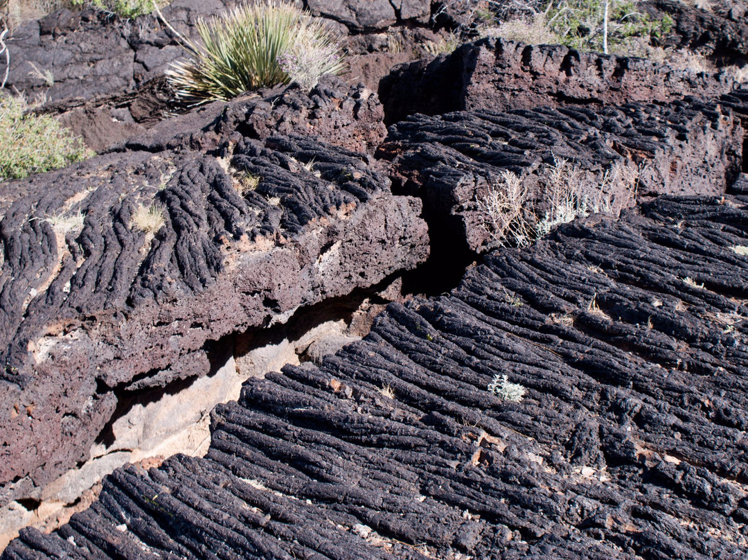 Valley of Fires Recreation Area景点图片