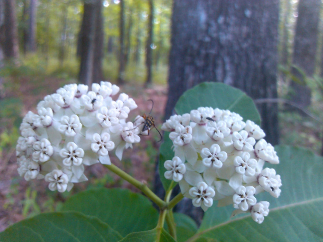 Marathon Lake Recreation Area