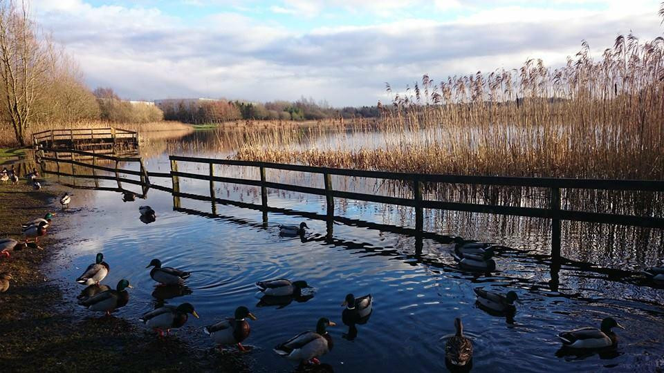 McMahon/Clare Lake Park景点图片