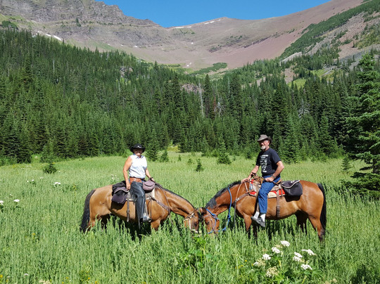 The Trail Riders of the Canadian Rockies-班夫必去景点