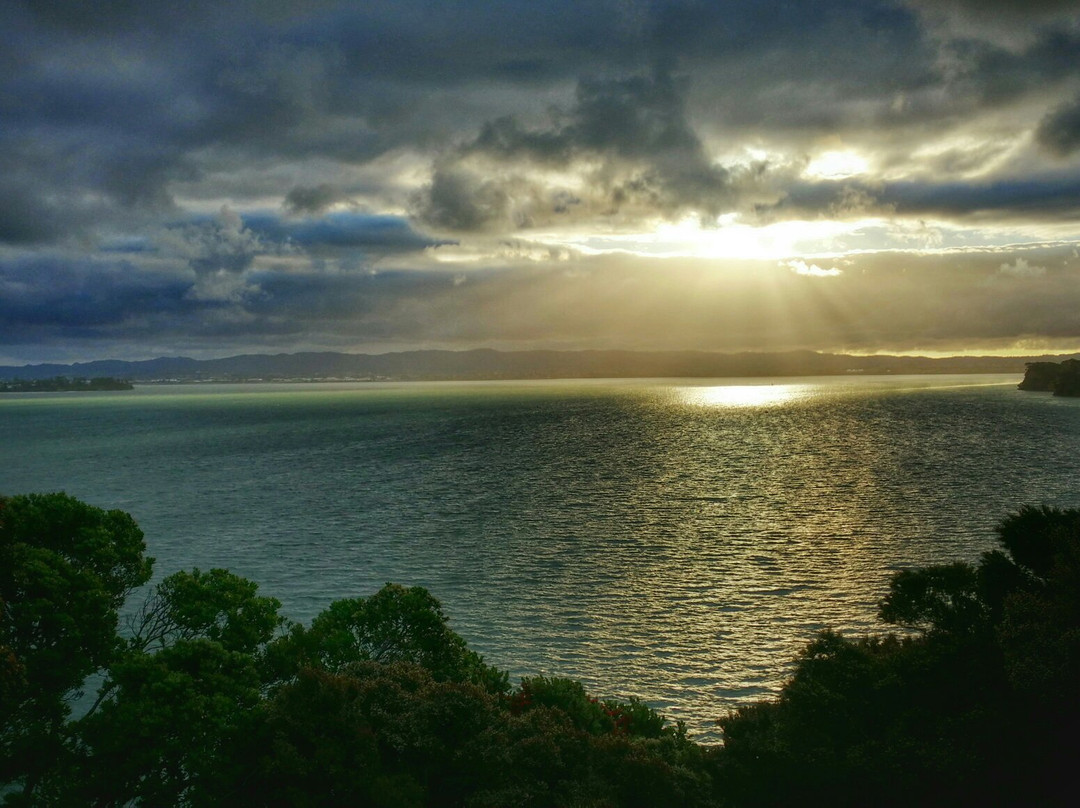 Hinemoa Park景点图片