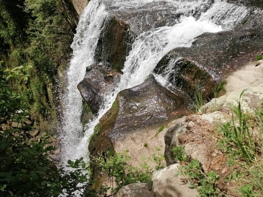 Parco di Veio景点图片