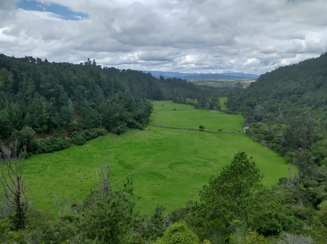 Mayoral Park-莱瓦镇必去景点
