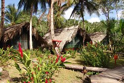 Orinoco Delta Lodge主图