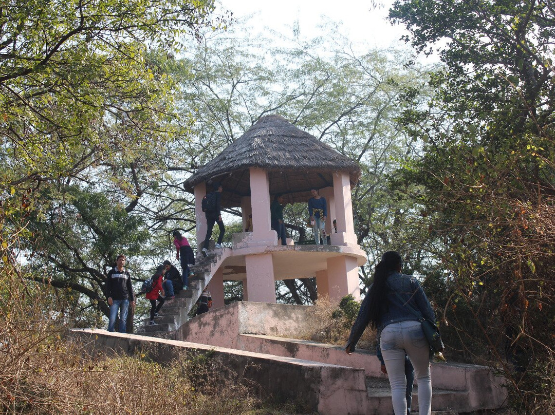 Nepli Reserve Forest-昌迪加必去景点