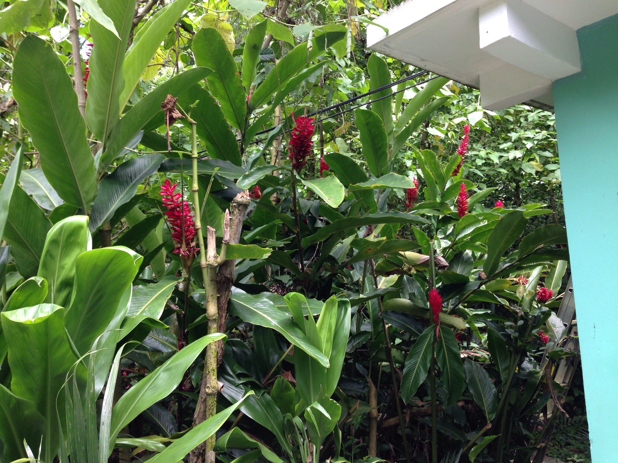 Margarita & Ed's Cabanas-官方