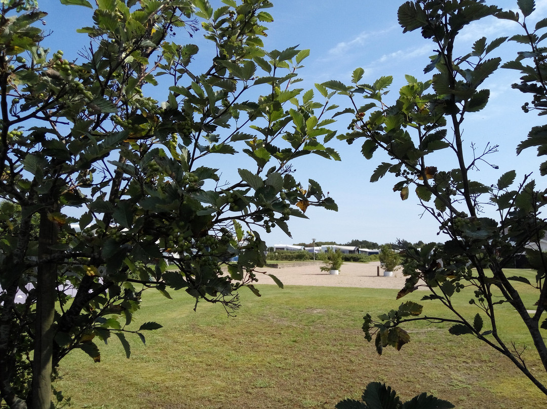 Fjellerup Strands Camping Djursland